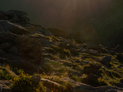 Rocky Mountain National Park