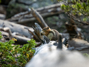 Rocky Mountain National Park