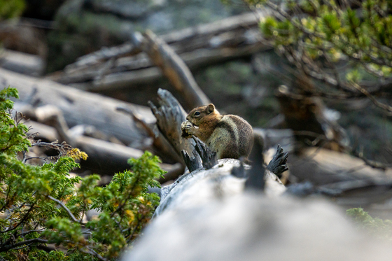 Rocky Mountain National Park