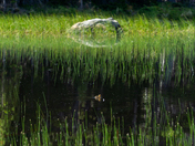 Rocky Mountain National Park