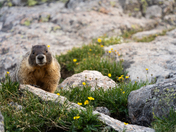 Rocky Mountain National Park