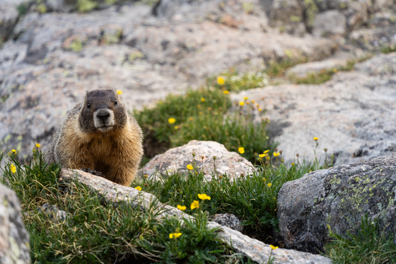 Rocky Mountain National Park