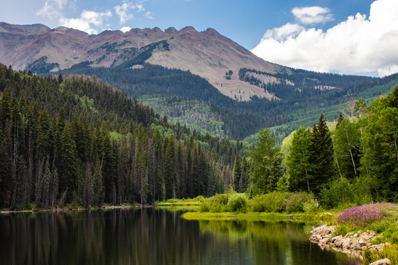 Grand Mesa, Uncompahgre and Gunnison National Forest