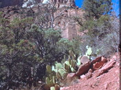 Zion National Park Utah