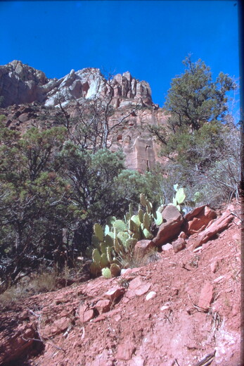 Zion National Park Utah