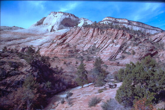 Zion National Park Utah