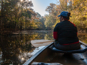Congaree National Park