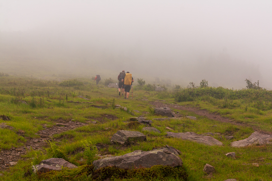 Appalachian National Scenic Trail