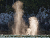 Sunrise with The Pacific Humpback 