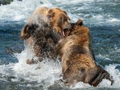 Katmai Nation Park and Preserve