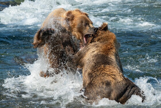 Katmai Nation Park and Preserve