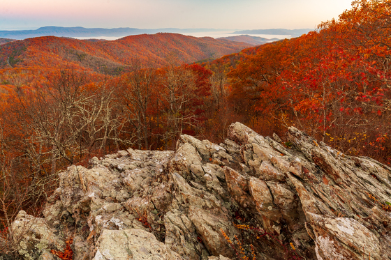 Shenandoah National Park