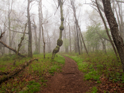 Shenandoah National Park