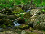 Shenandoah National Park