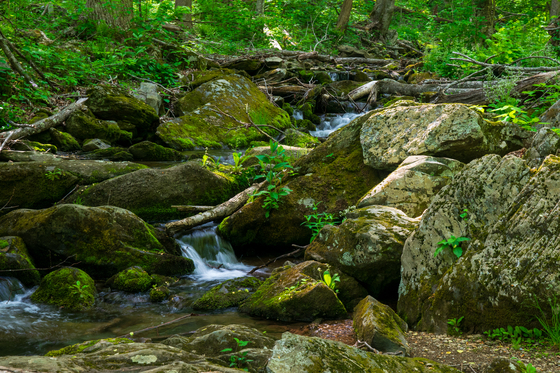 Shenandoah National Park