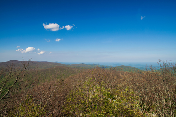 Shenandoah National Park