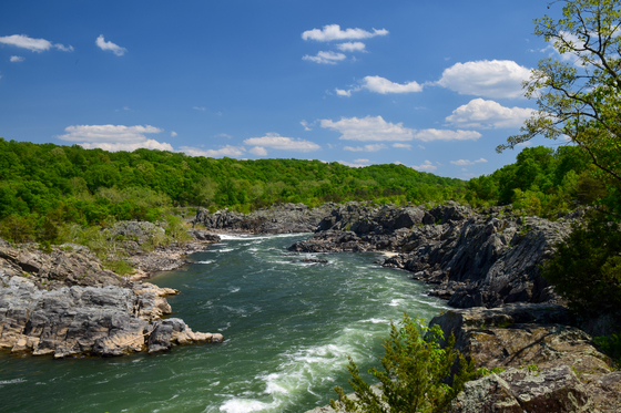 Great Falls Park