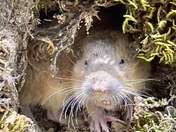 Yosemite National Park 