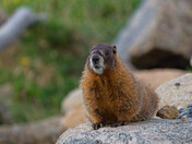 Mount Evens (Blue sky) 