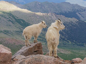 Mount Blue Sky (Mt. Evens)
