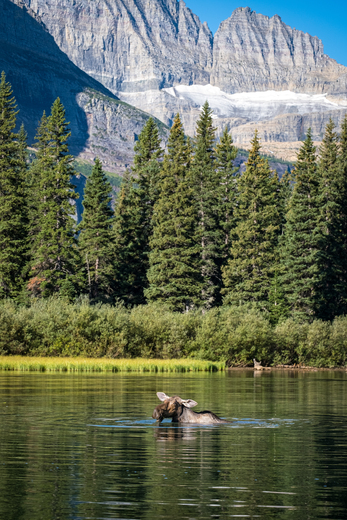 Glacier National Park