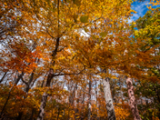 Shenandoah National Park