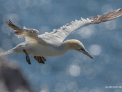 On the Move ....Again