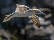 That Time of the Year.....Again!!!