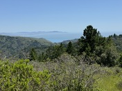 Muir Woods National Monument