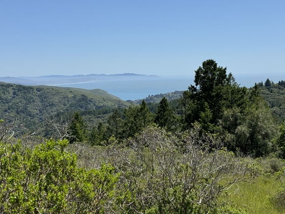 Muir Woods National Monument