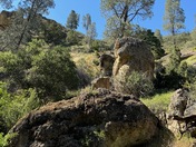 Pinnacles National Park