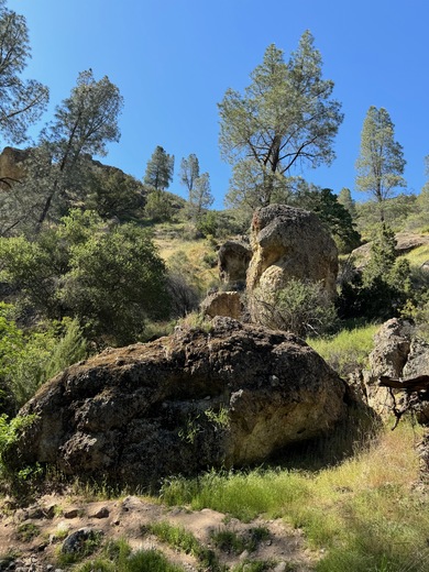 Pinnacles National Park