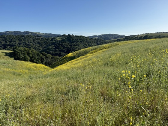 John Muir National Historic Site