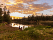 Whitehorse Lake, Kaibab National Forest