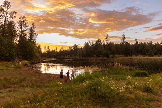 Whitehorse Lake, Kaibab National Forest