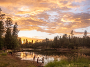 Whitehorse Lake, Kaibab National Forest