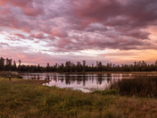 Whitehorse Lake, Kaibab National Forest