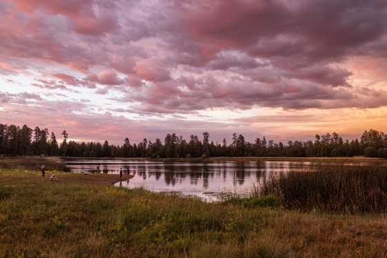 Whitehorse Lake, Kaibab National Forest
