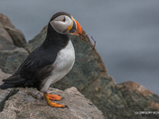 Now WHAT Do I DO ???