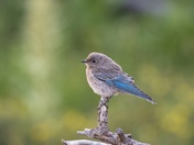 Grand Teton National Park