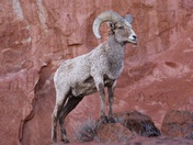 Rocky Mountain National Park