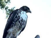 John Muir National Historic Site