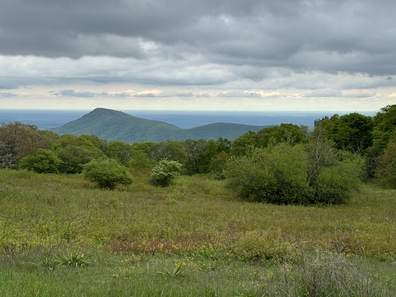 Shenandoah National Park
