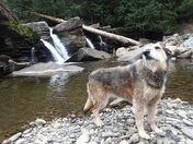 Cool Spray on a Warm Day