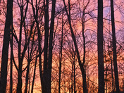 Cumberland Gap Wilderness