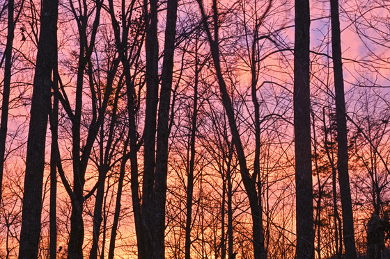 Cumberland Gap Wilderness