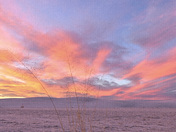 National Park Service