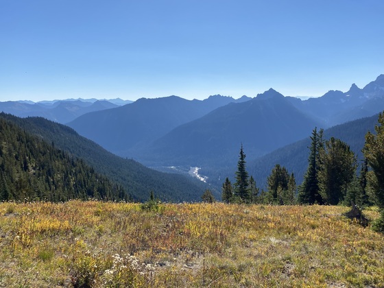 Mount Rainier National Park