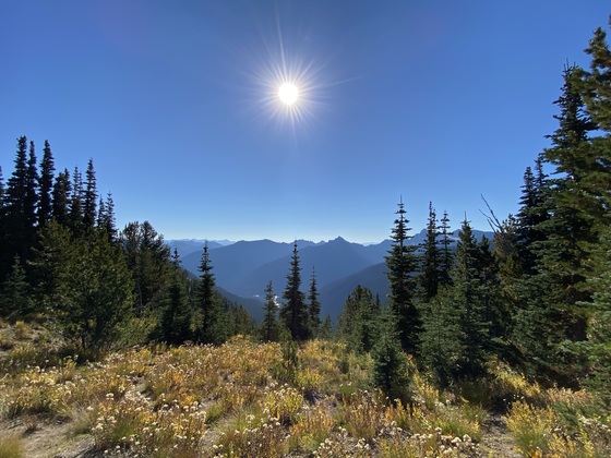Mount Rainier National Park
