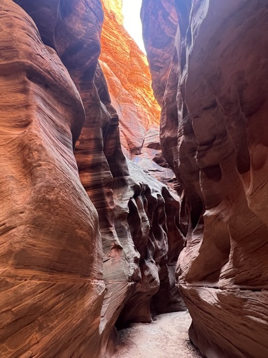 Paria Canyon-Vermilion Cliffs Wilderness